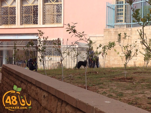 modahama shamela j3h (3).JPG